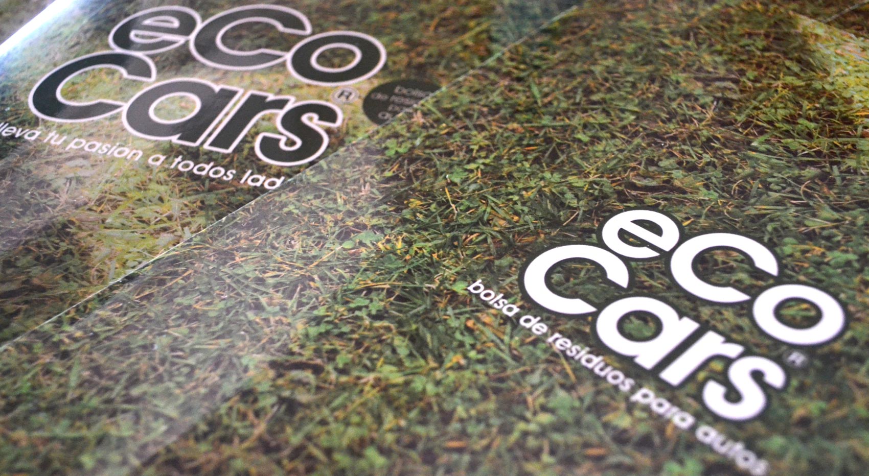 ecocars