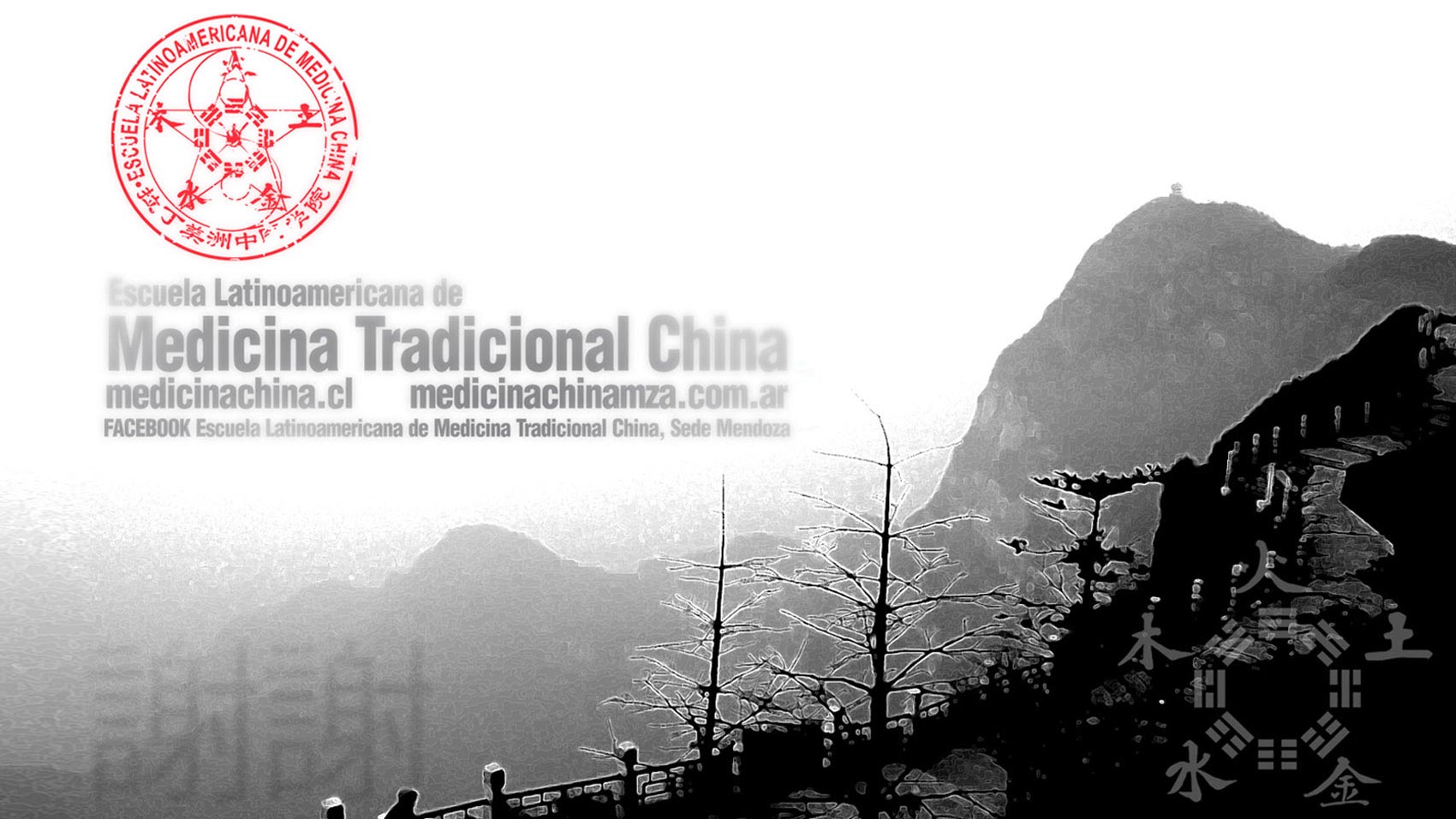 escuela latinoamericana de medicina tradicional china